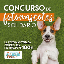 Aluche_concurso mascotas_destacado noticias