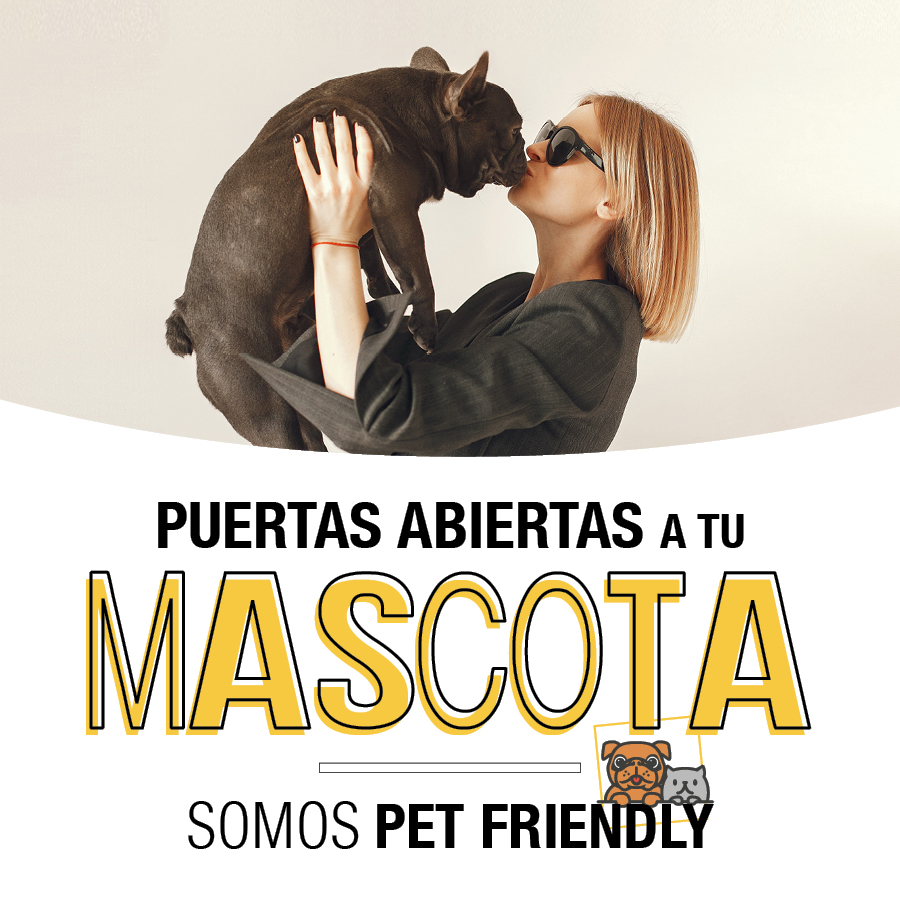 Aluche_servicio pet friendly_destacado noticias 900×900